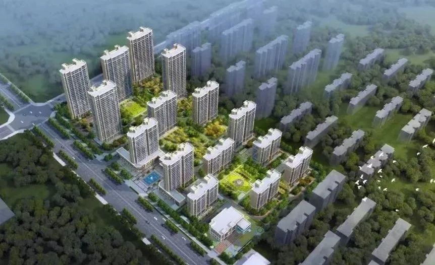 【項目負(fù)責(zé)人說】葉書莊：勇毅前行 精益求精